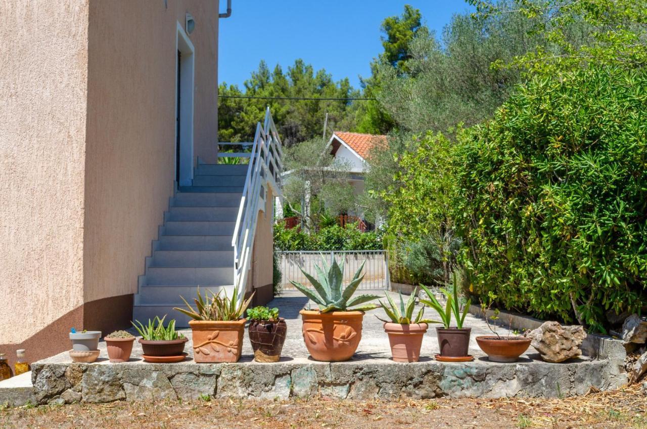Apartment Tanja Vela Luka Ngoại thất bức ảnh