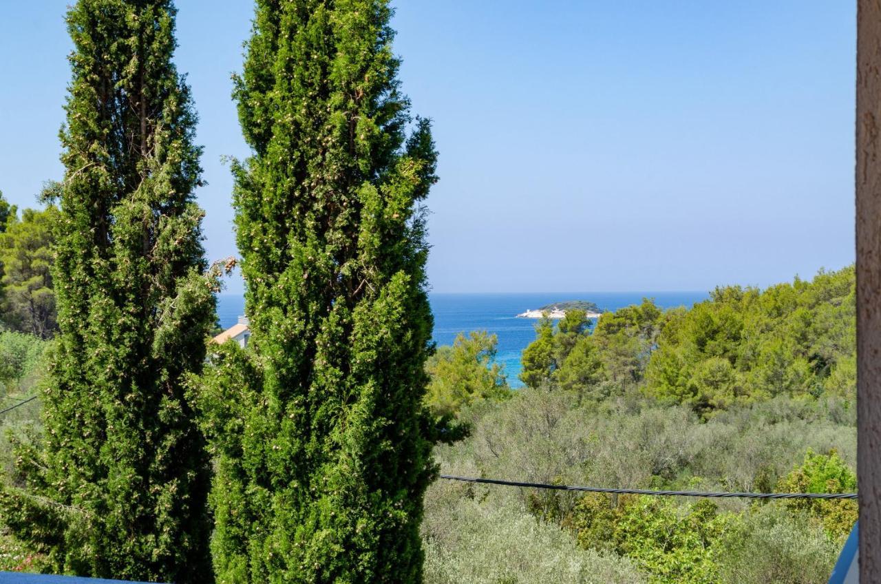 Apartment Tanja Vela Luka Ngoại thất bức ảnh