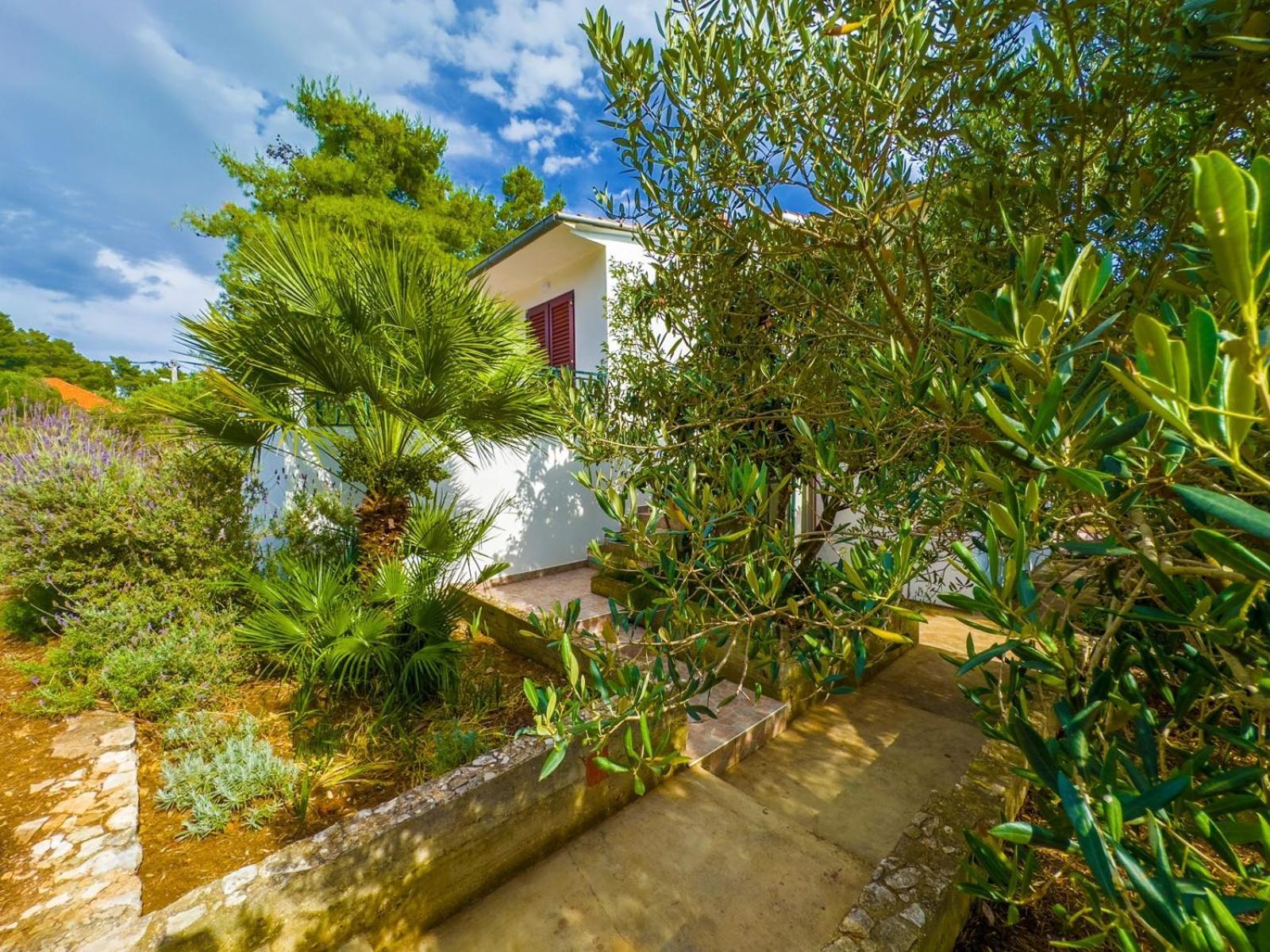 Apartment Tanja Vela Luka Ngoại thất bức ảnh